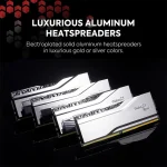 رم جی اسکیل GSKILL Trident Z5 ROYAL RGB SILVER 64GB (2x32GB) 6400MHz CL32 DDR5 - Image 4