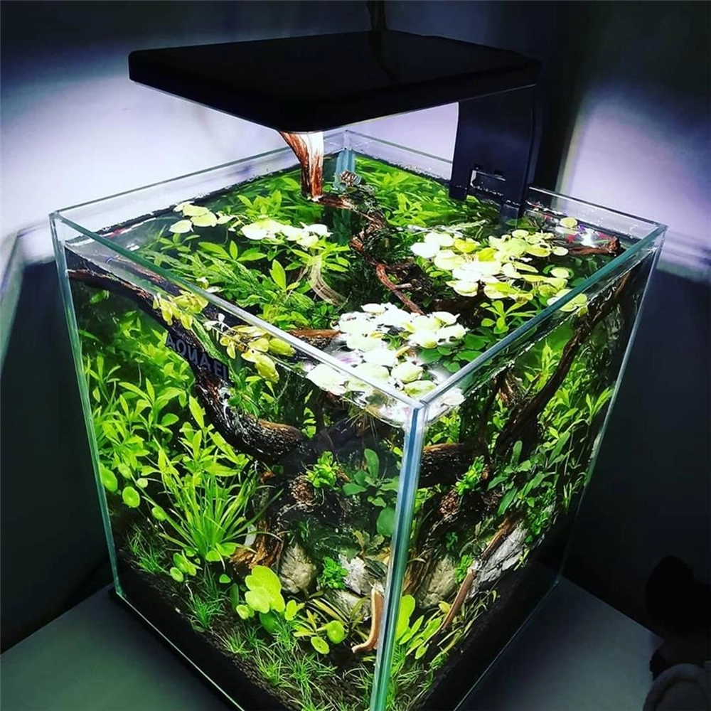 water-clarifier-p0A پک کامل زلال کننده و ضد عفونی کننده آب آکواریوم - Image 1